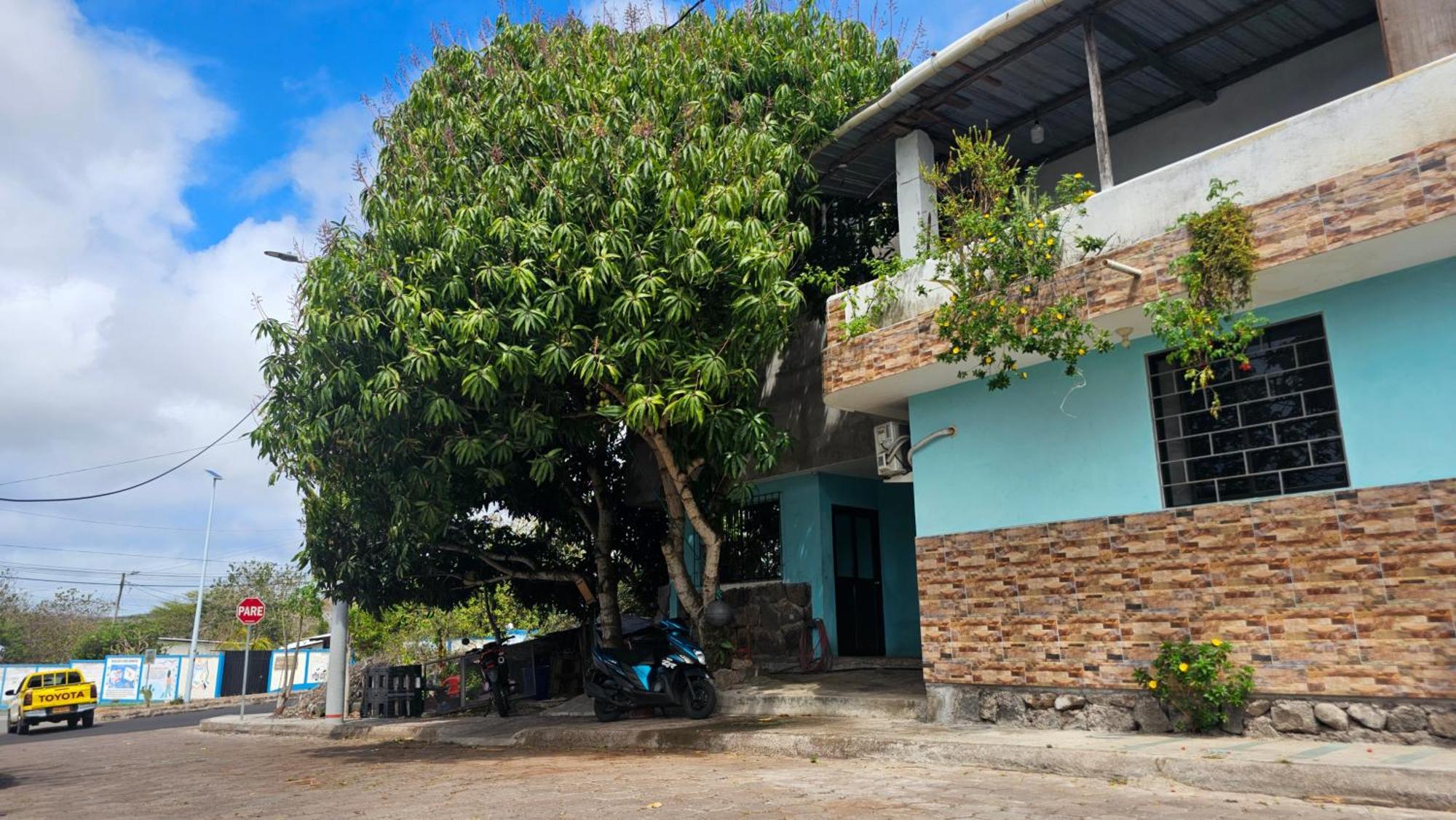 Ferienwohnung Flor'S House San Cristóbal Exterior foto